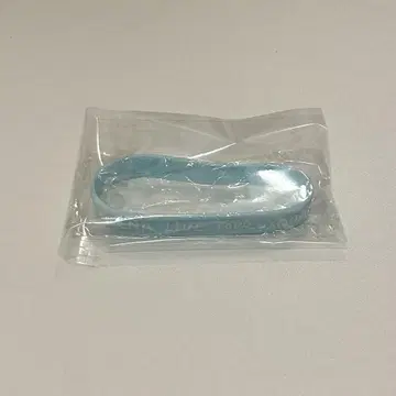 타카츠카 히로무 러버 밴드