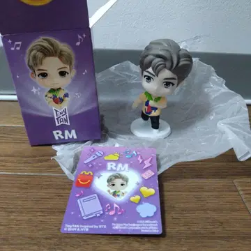 RM 피규어 컬러풀 의상