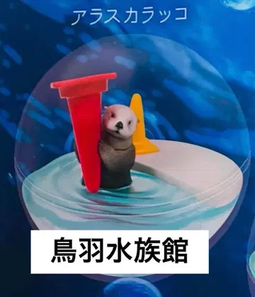 도바 수족관 카프리움 컬렉션 알래스카 랏코