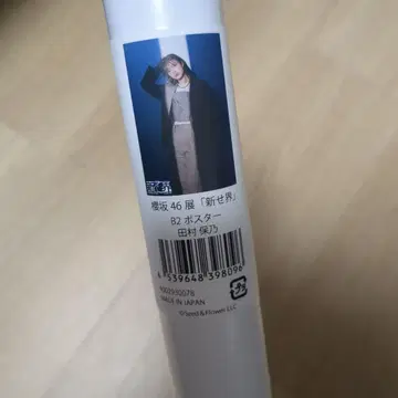 타무라 호노 신세카이 B2 포스터
