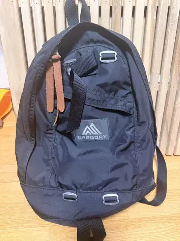 GREGORY 백팩 18L