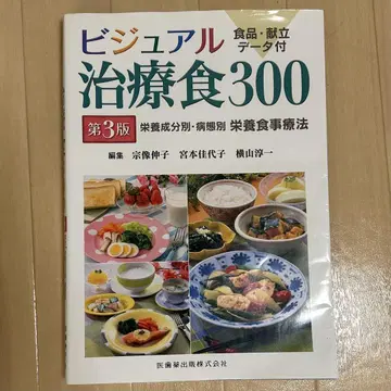비주얼 치료식 300 제3판