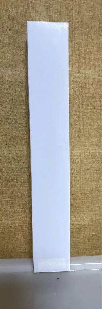 휴먼버그 대학 센고쿠 카오루 A2 포스터 미개봉