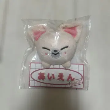 straykids SKZOO Foxl.Ny 네임 백참