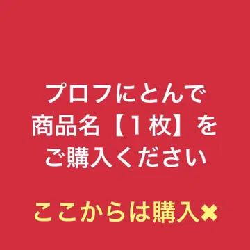 색이 다른 미라이돈 코라이돈