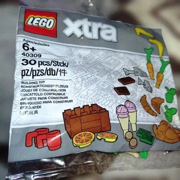 레고 xtra 미개봉품 40309