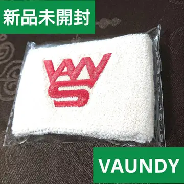 VAUNDY 리스트 밴드 미개봉 새상품 VAWS 아이보리 2025