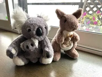 코알라와 캥거루 봉제 인형 세트
