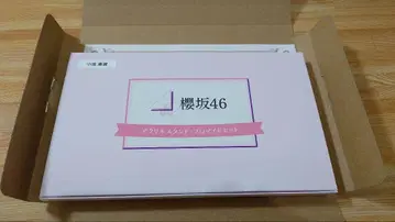 케야키자카46 코이케 미나미 아크릴 스탠드 프로마이드 세트