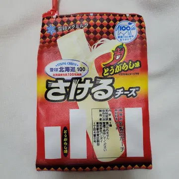 파우치