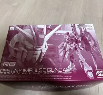 RG 데스티니 임펄스 건담