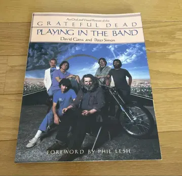 Grateful Dead PLAYING IN THE BAND