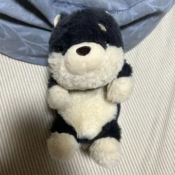 굼벵이 시바견(블랙 시바) 봉제 인형 드림즈