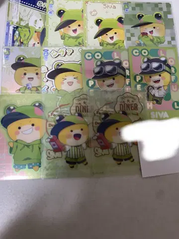 컬러풀 피치 시바
