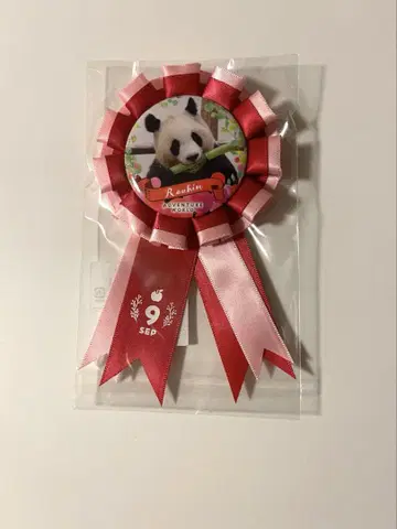 어드벤처 월드 료힌 로제타