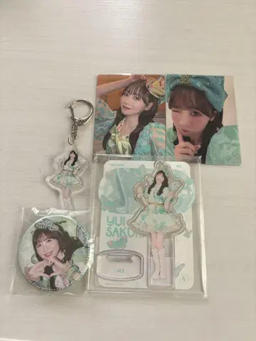사쿠라이 유이 세트