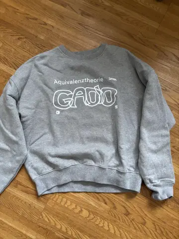 GADID ANONIEM 그레이 맨투맨 FREE 사이즈