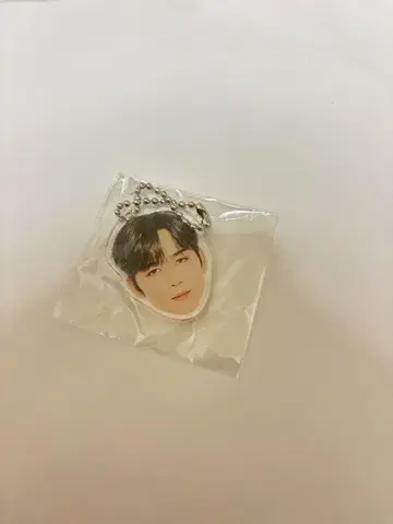INI 캡슐 토이 고토 타케루 얼굴 아크릴