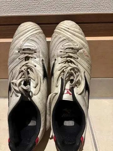 축구화 스파이크