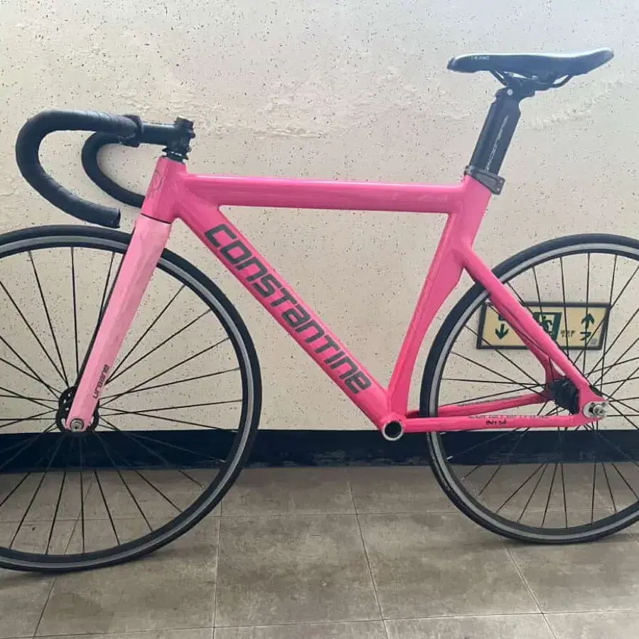 Pink Constantine Fixie CONSTANTINE 콘스탄틴 Constantine Urbane