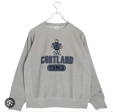 [ 새상품 ] Champion CORTLAND 트레이닝복 그레이