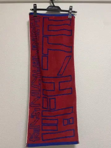 히토리 엣지 in 무도관 타월 호시노 겐