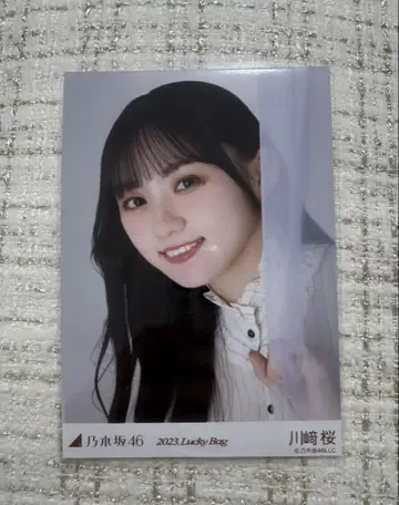 카와사키 벚꽃 lucky bag 2023 파스텔 요리