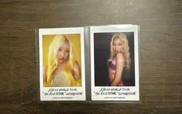 XG MAYA instax mini