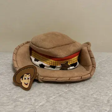 우디 카우보이 모자