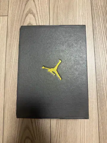 Jordan Retro High OG (TD) 9C