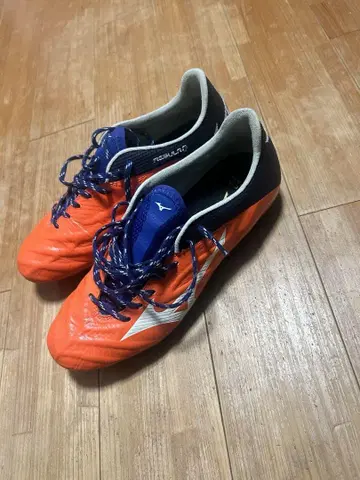 Mizuno 리뷰어2V1JAPAN