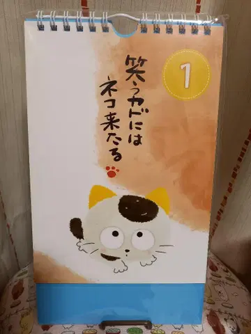 타마&프렌즈 우리 타마 아니?' 탁상 만년 일력 달력