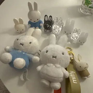 미피 블루나 애니멀