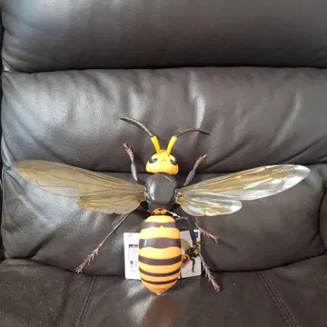 Vespa mandarinia 오오스즈메바치 MEGA 피규어