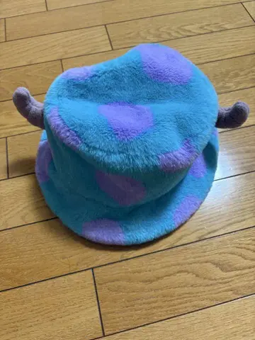 디즈니 샐리 모자