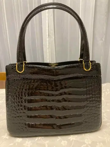 핸드백 샤이니 크로커다일