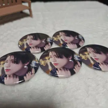 Straykids 한 캔뱃지 5개 세트