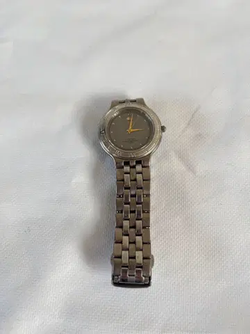 ATTESA JAPAN 그레이 다이얼 스테인리스 스틸 시계