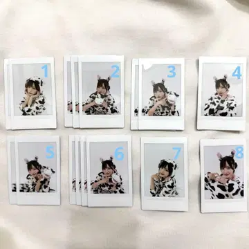 카스쨩 란체키