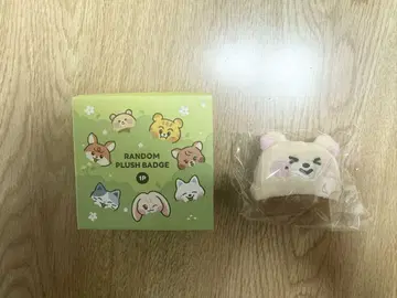 NCT DREAM Dreamiez 랜덤 배지 지성