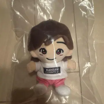 나니와단시 미치에다 슌스케 치비 누이