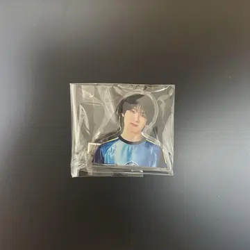 액터즈 리그 랜덤 헤어핀 이와사키 유가