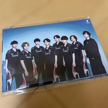 fl fennel 제5인격 브로마이드 공식 굿즈 5장 1세트