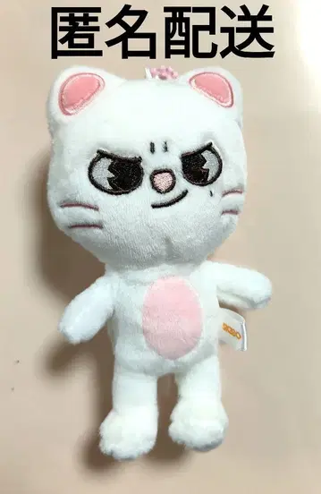 straykids KARMA SKZOO 지니렛