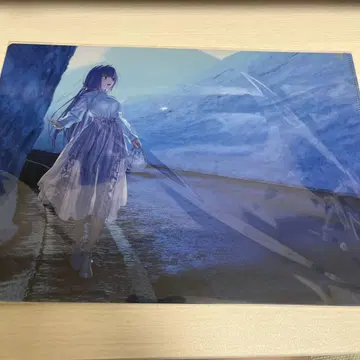 FGO 5주년 스카사하 토야마현 눈의 오타니 A4 클리어 파일