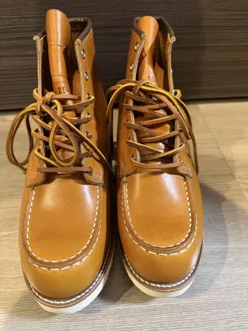 Red Wing 9875 아이리쉬 세터 6인치 모크 토