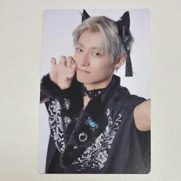 초특급 아로하 NINE LIVES 완전 생산반 트레이딩 카드