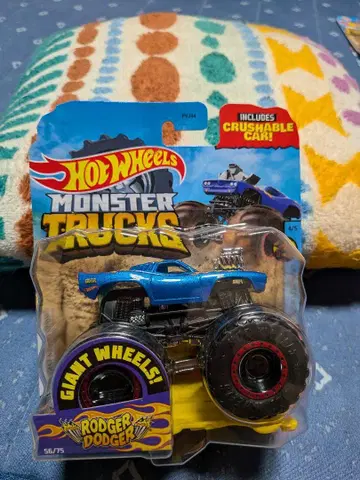 Hot Wheels 몬스터 트랙 로저 대저