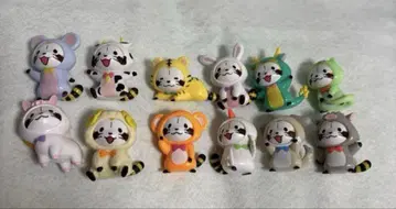 코스 라스칼 마그넷 간지편 컴플리트