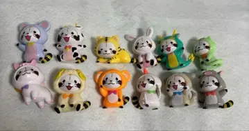 코스 라스칼 마그넷 간지편 컴플리트